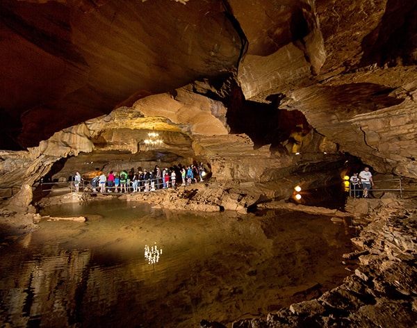 salta la coda biglietto d'ingresso oscuro alla grotte de baume